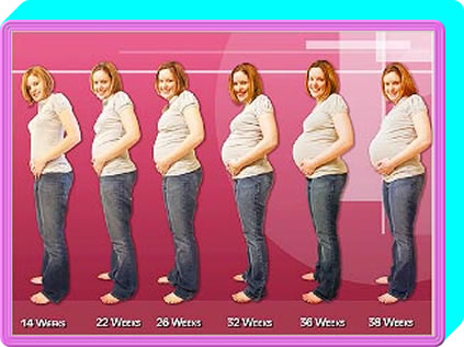 6 images of Pregnant Woman at different stages of Pregnancy